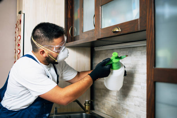Best Pest Prevention Services  in Louisa, VA