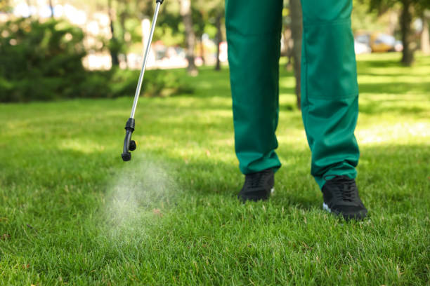 Best Local Pest Control Services  in Louisa, VA