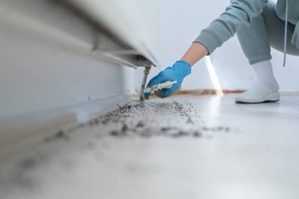 Best Pest Control Treatment  in Louisa, VA