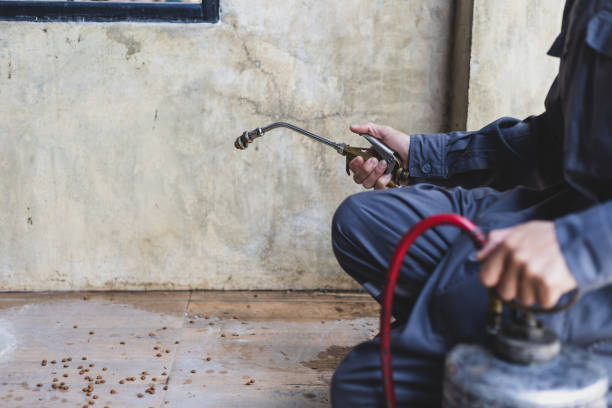 Best Affordable Pest Control Services  in Louisa, VA